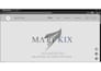 build a professional and responsive website